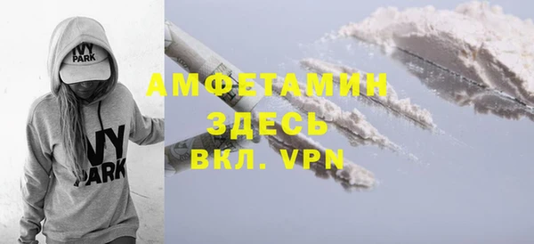 твердый Дмитриев
