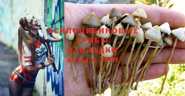 круглые Дмитров