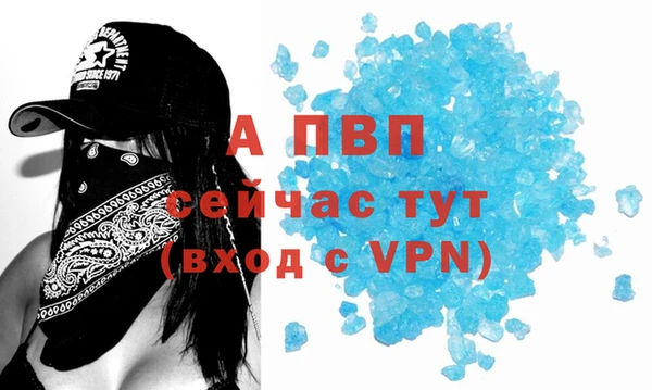 твердый Дмитриев