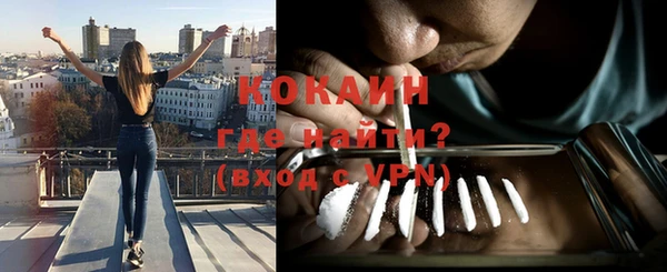 твердый Дмитриев