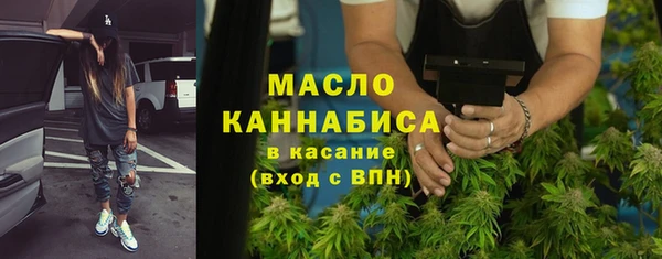 твердый Дмитриев