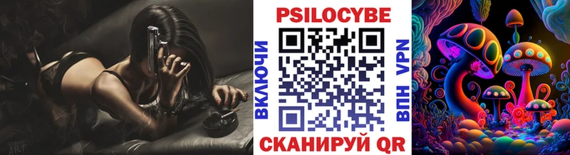 Купить где  Новоалександровск  Псилоцибиновые грибы Psilocybine cubensis 