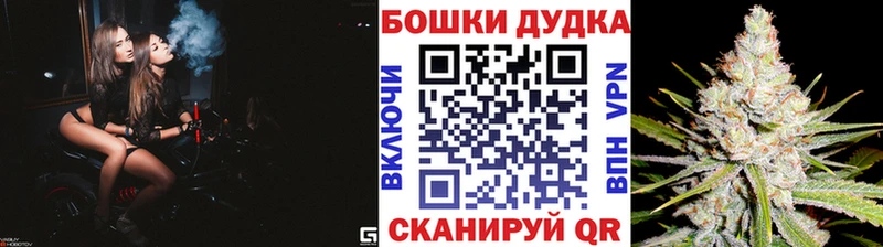Каннабис сатива  Купить где  Новоалександровск 